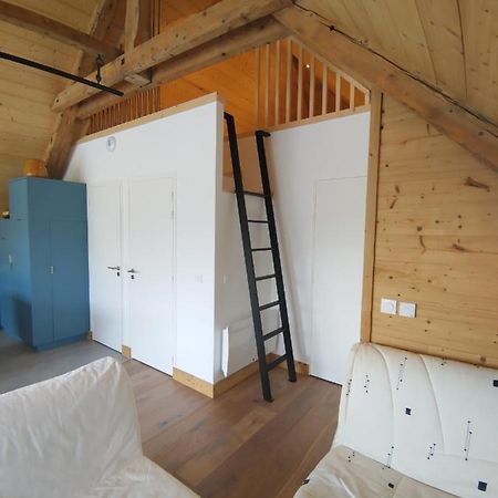 Logement Entre Lac Et Montagne Annecy Eksteriør billede